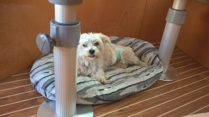 WP_20150922_15_34_04_Pro