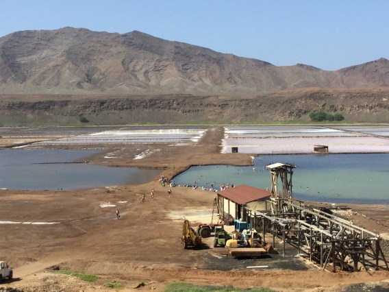 20151109_145155157_iOS