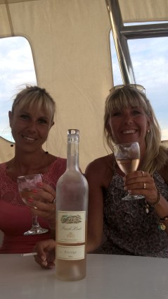 WP_20150816_19_40_28_Pro