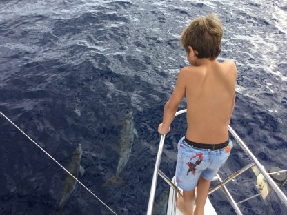 20151014_162936119_iOS