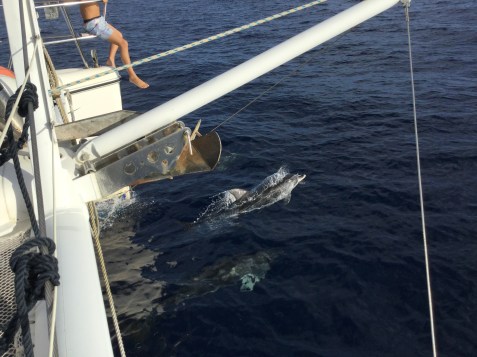 20151014_165945701_iOS