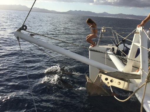 20151014_170138845_iOS