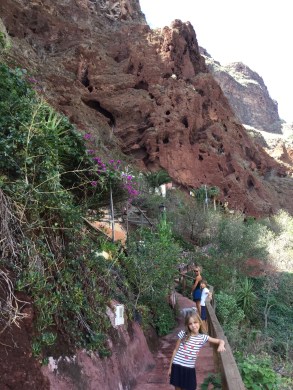 20151017_121124784_iOS