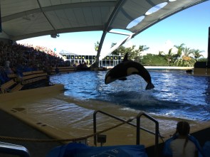 20151023_104735636_iOS