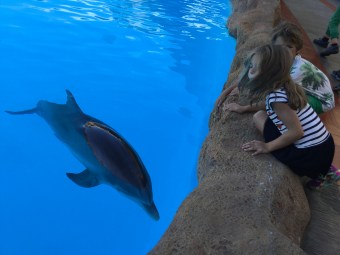 20151023_115317792_iOS