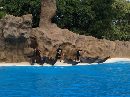 20151023_122338303_iOS