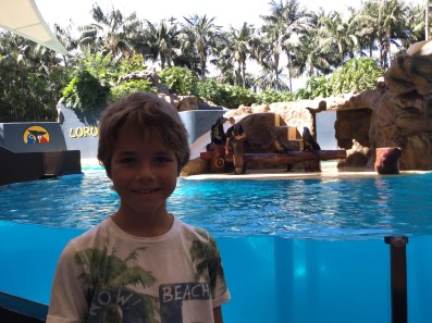 20151023_132018673_iOS