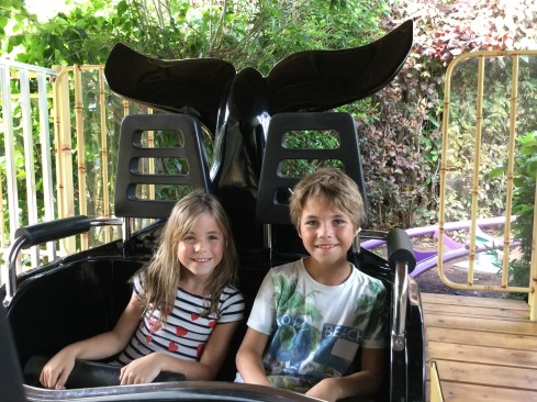 20151023_143056686_iOS