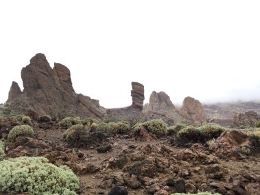 20151024_133541621_iOS