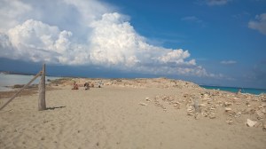 WP_20150928_14_30_42_Pro