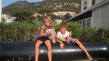 WP_20151003_17_12_38_Pro