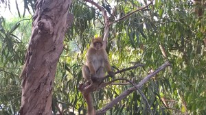 WP_20151003_18_21_50_Pro