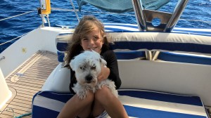 WP_20151009_15_36_24_Pro