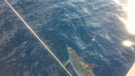 WP_20151014_19_04_18_Pro