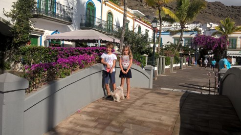 WP_20151017_11_48_13_Pro