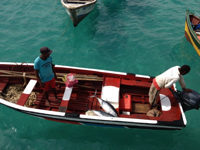 20151112_131501445_iOS