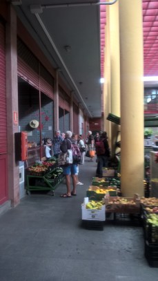 WP_20151031_11_29_13_Pro