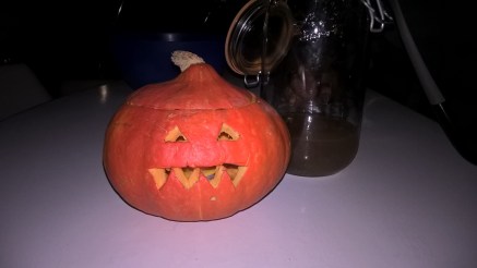 WP_20151031_21_10_42_Pro