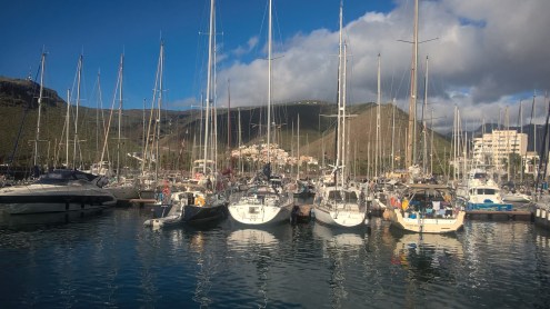 WP_20151101_10_51_27_Pro