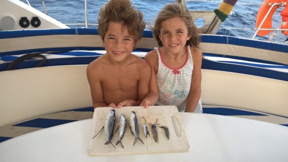 WP_20151105_09_31_59_Pro