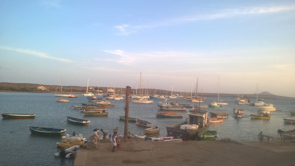 WP_20151108_19_37_42_Pro