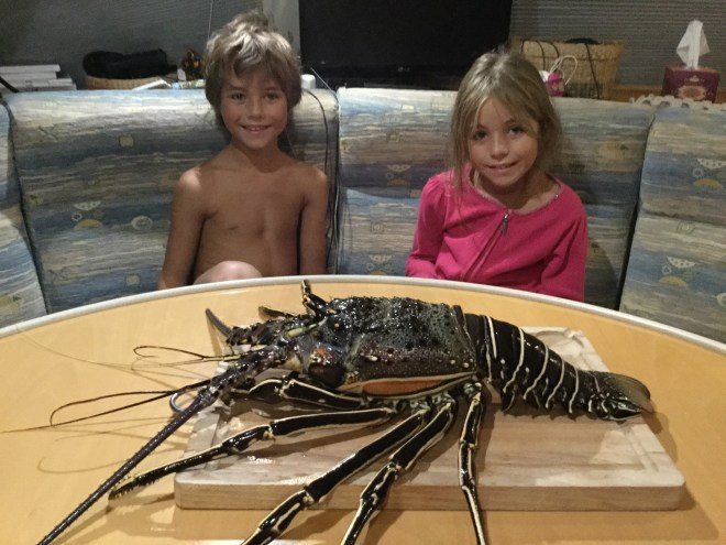 20151127_193037851_iOS