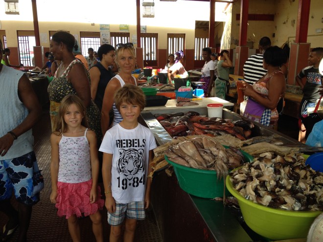 20151130_124058625_iOS