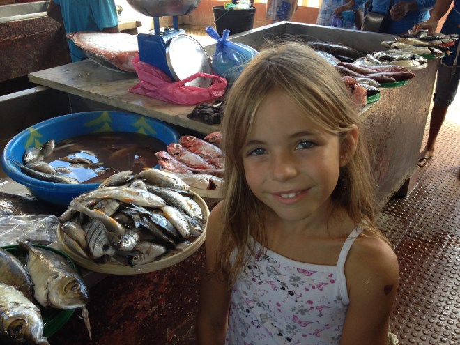 20151130_124411570_iOS