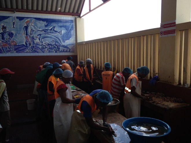 20151130_124455610_iOS