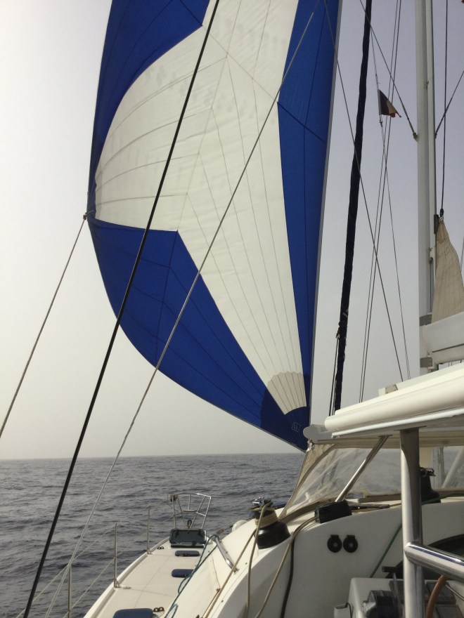 20151206_161557262_iOS