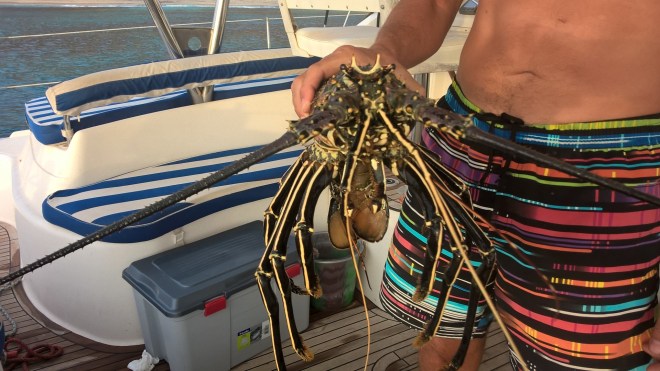 WP_20151126_19_32_43_Pro