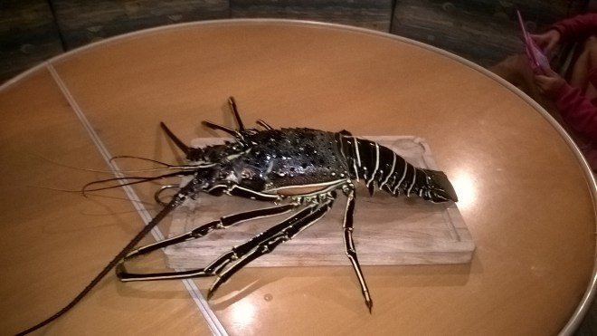 WP_20151127_20_28_54_Pro