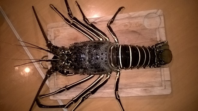 WP_20151127_20_29_12_Pro