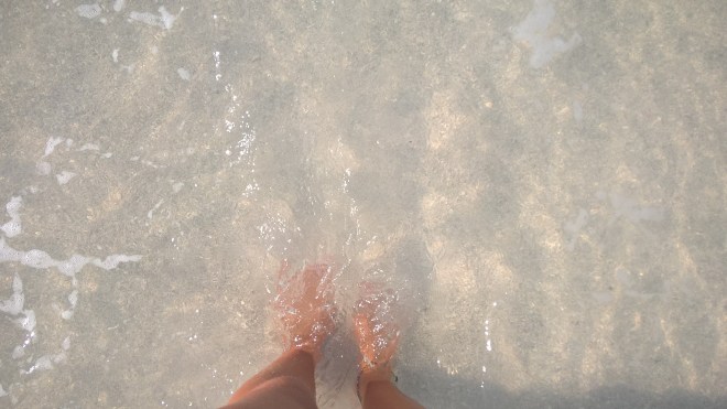 WP_20151129_17_24_52_Pro