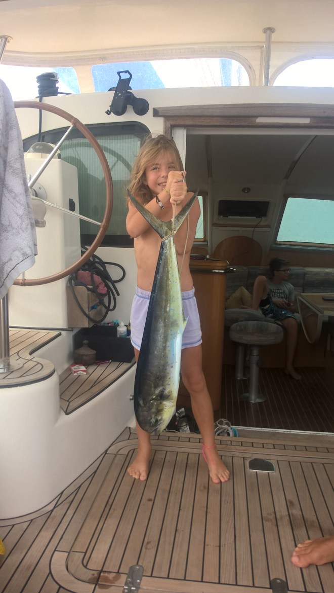 WP_20151208_14_52_54_Pro