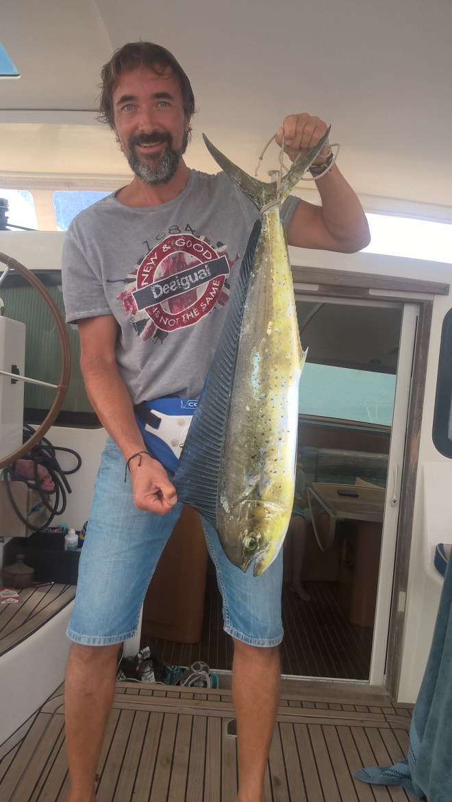 WP_20151208_14_53_46_Pro