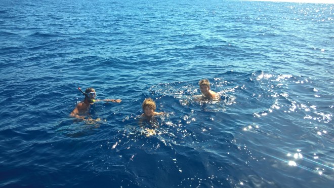 WP_20151215_17_55_21_Pro