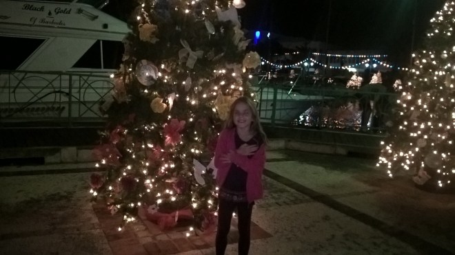 WP_20151222_03_33_47_Pro