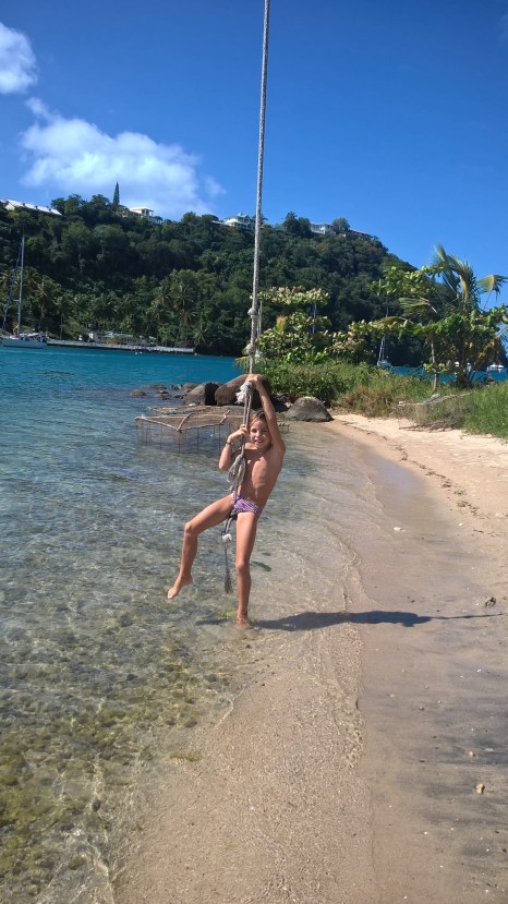 WP_20151227_16_11_23_Pro