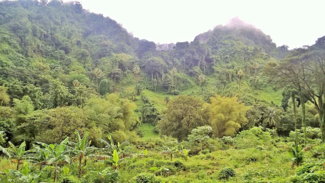 WP_20160109_15_08_33_Pro 1 (2)