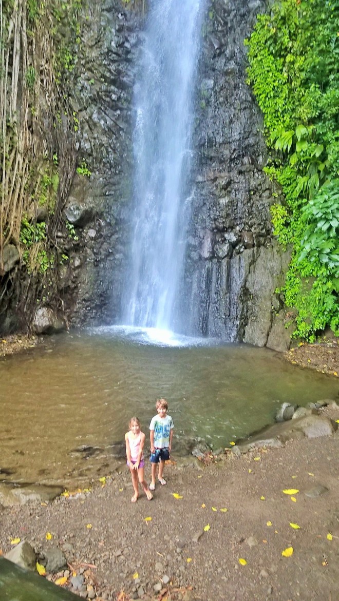 WP_20160109_15_26_04_Pro 1 (2)