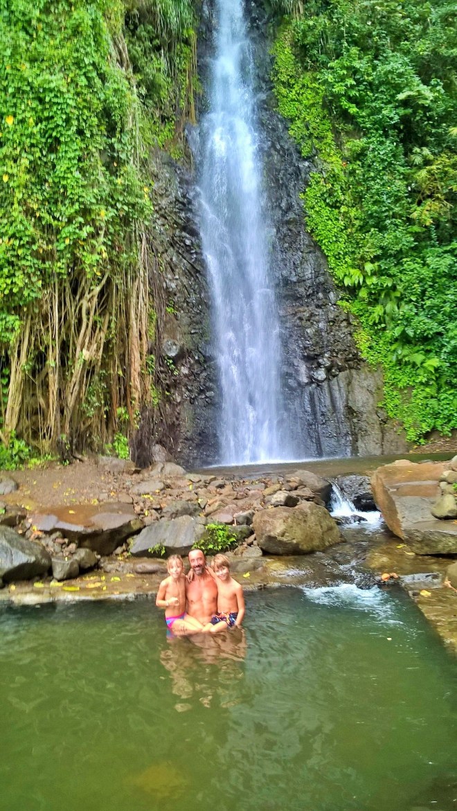 WP_20160109_15_33_01_Pro 1