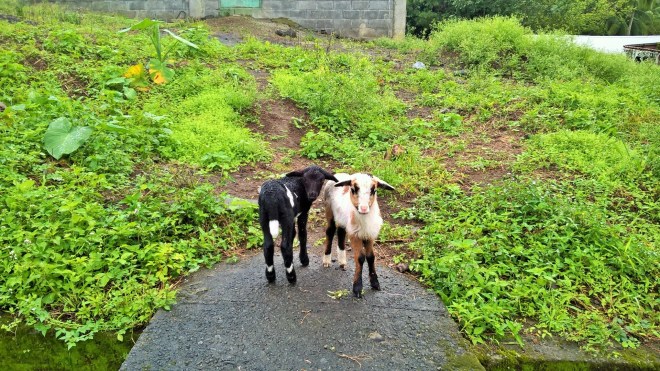 WP_20160109_16_56_40_Pro 1