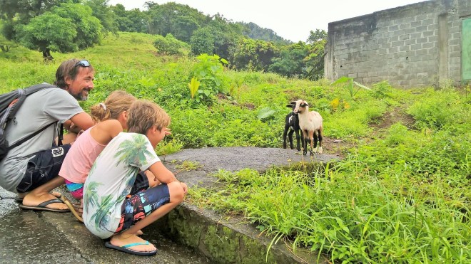 WP_20160109_16_56_50_Pro 1 (2)