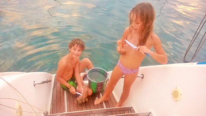 WP_20160109_22_39_16_Pro 1