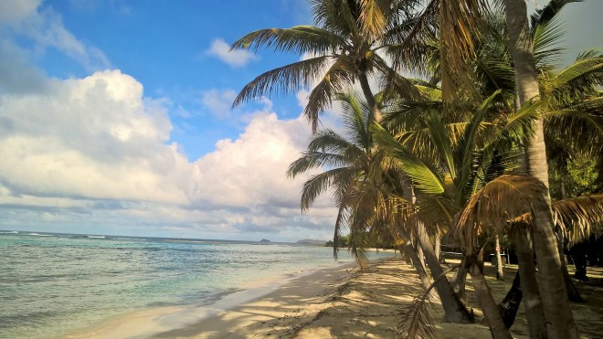 WP_20160113_13_34_38_Pro