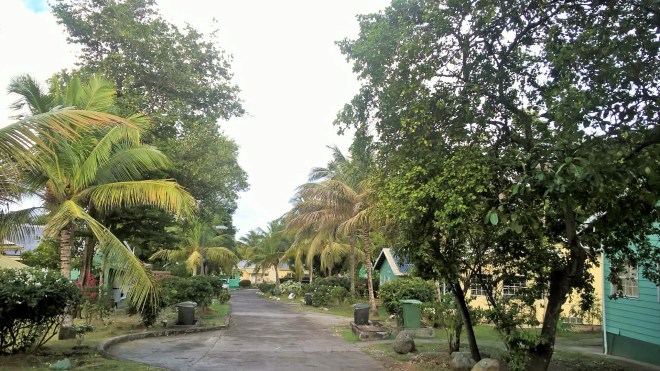 WP_20160113_13_51_13_Pro