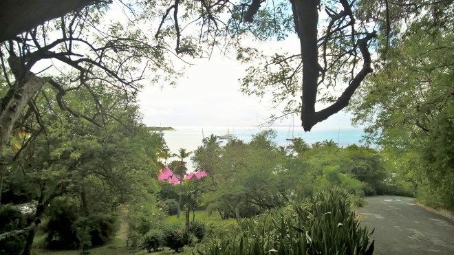 WP_20160113_18_33_11_Pro