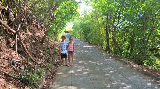 WP_20160113_19_55_32_Pro