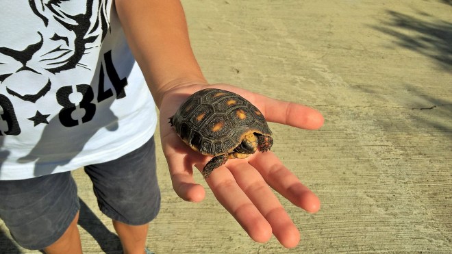 WP_20160115_14_31_20_Pro